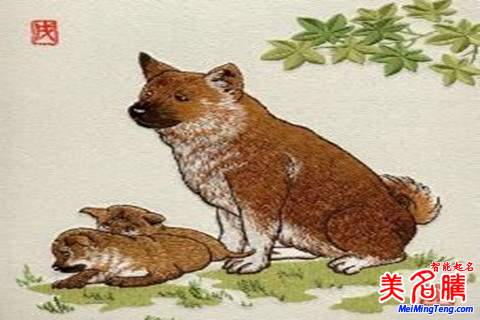 张姓女宝宝狗年取名大全