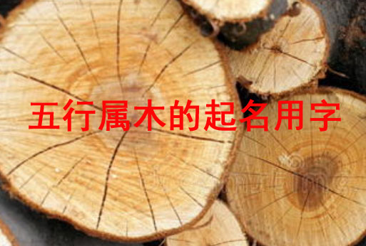 五行属木的属牛宝宝起名字大全