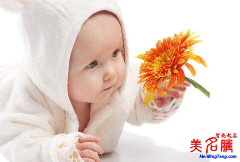 2017鸡年5月出生宝宝起名注意事项