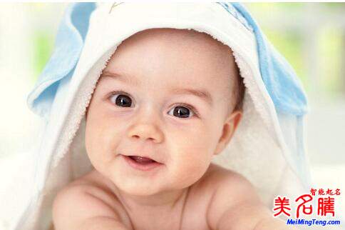 赵姓起名技巧,赵姓属狗男宝宝的特别的名字_2