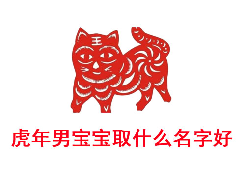 虎年男宝宝取什么名字好