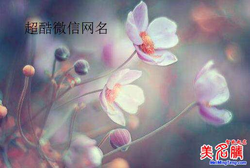 最新超酷微信名大全微信网名大全